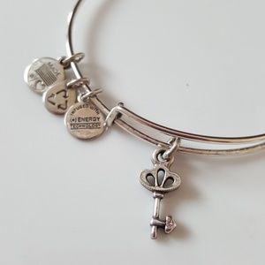 ALEX AND ANI